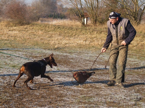 The christmas training 27.12.2006